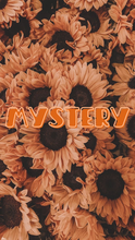 Load image into Gallery viewer, Mystery Print Option